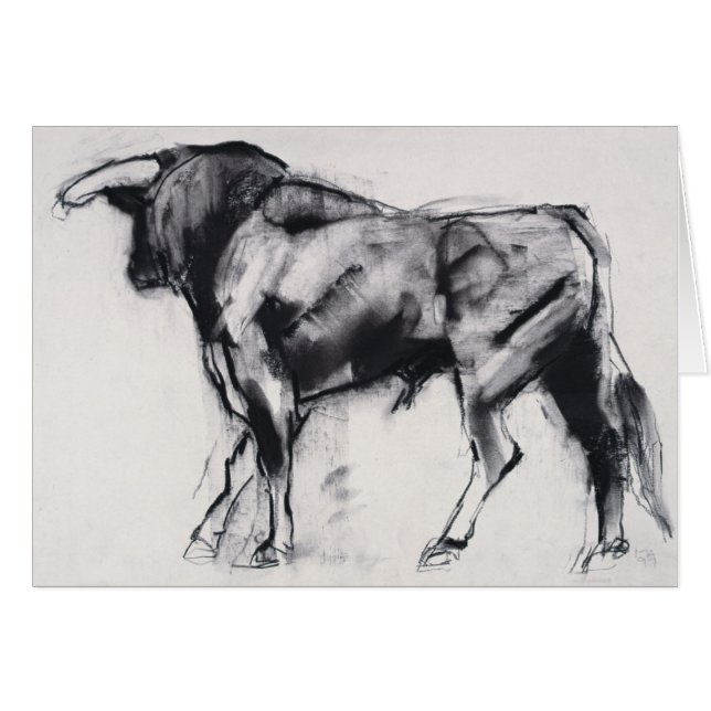 Onderzoek van Toro Azul (Voorkant Horizontaal)