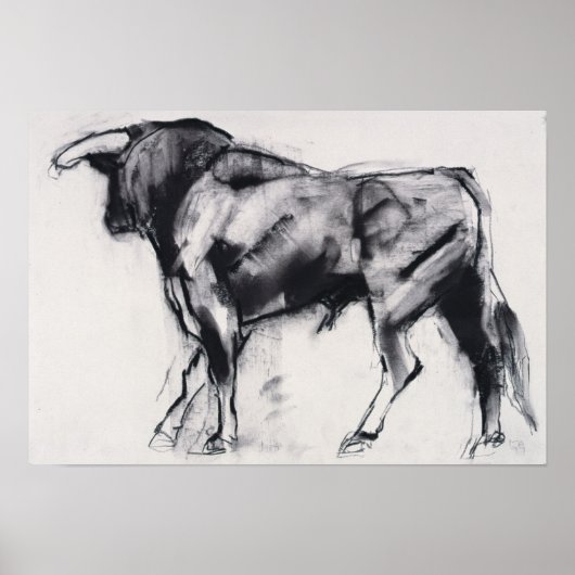 Onderzoek van Toro Azul Poster (Voorkant)