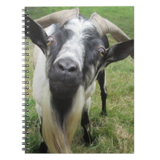 onderzoekende geesten notitieboek