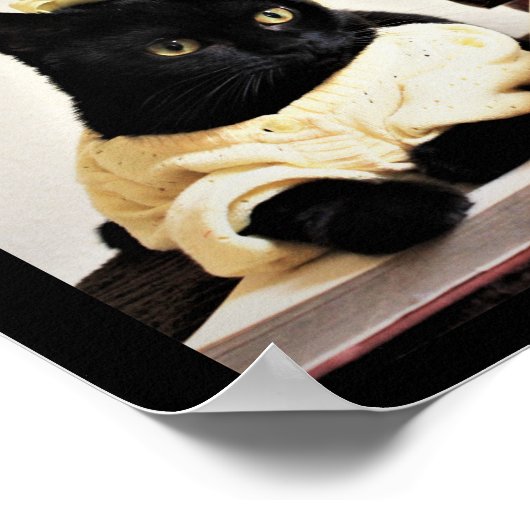 Onderzoekstijd Poster (Hoek)