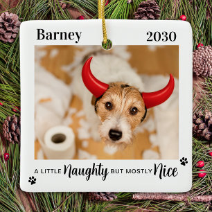 Ondeugend Leuk Grappig Hond Pet Foto Kerstmis Keramisch Ornament