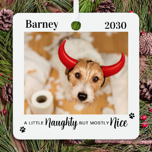Ondeugend Leuk Grappig Hond Pet Foto Kerstmis Metalen Ornament