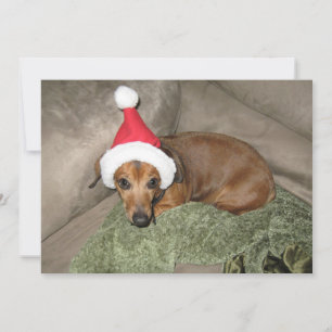 Ondeugende lijst - Reluctant Santa Dachshund Feestdagenkaart