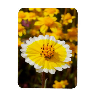 Ondoorgrondelijke Wildflowers Magneet