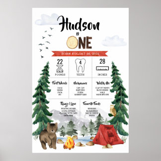 One Happy Camper 1e verjaardag mijlpaal chart Poster