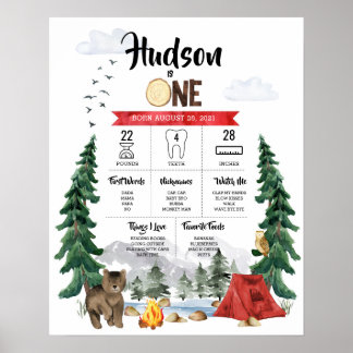 One Happy Camper 1e verjaardag mijlpaal chart Poster