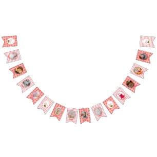 One In A Melon 1st Birthday Watermeloen Foto Bunt Vlaggetjes