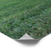 "One Legged Pose", Rooster Poster (Hoek)