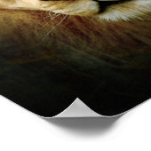 One Love Lion - Poster / Imprimer (Coin)