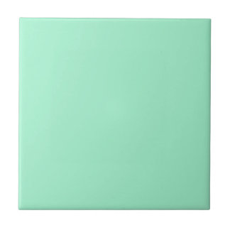 One Mint Ceramic Tile Tegeltje