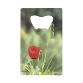 One Poppy Artistic (Devant)