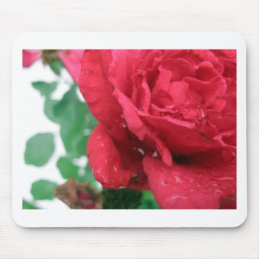 One Red Rose Muismat (Voorkant)