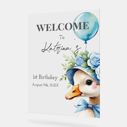 One Silly Goose Boy Birthday  (Angle)