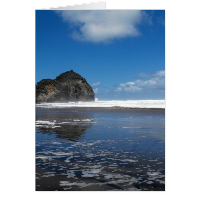 O'Neill Bay (Devant)