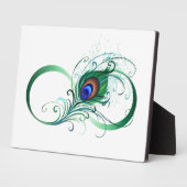 Oneindigheidssymbool met pauwveer fotoplaat (Zijkant)