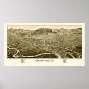 Oneonta, NY Panoramic Map - 1884 Poster