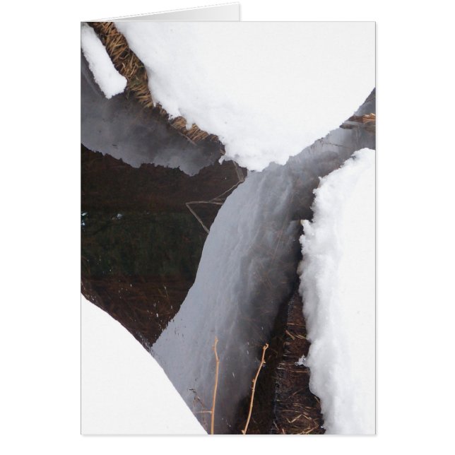 ongedefinieerd (Voorkant)