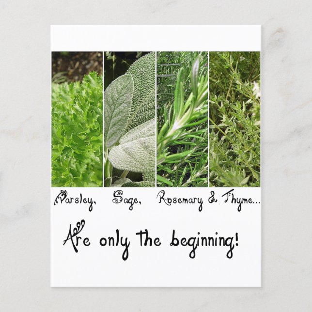 ongedefinieerd (Voorkant)