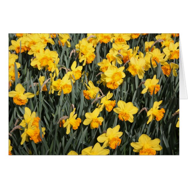 ongedefinieerd (Voorkant Horizontaal)