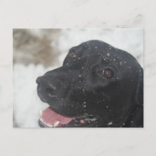 ongedefinieerd briefkaart