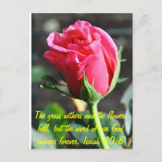 ongedefinieerd briefkaart