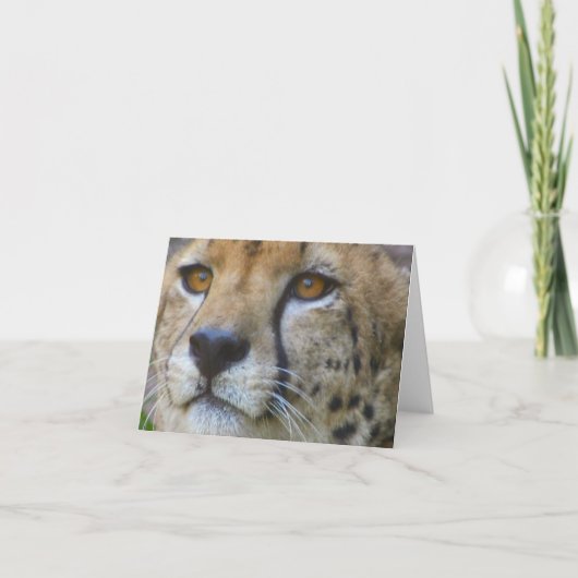 ongedefinieerd kaart (Voorkant)