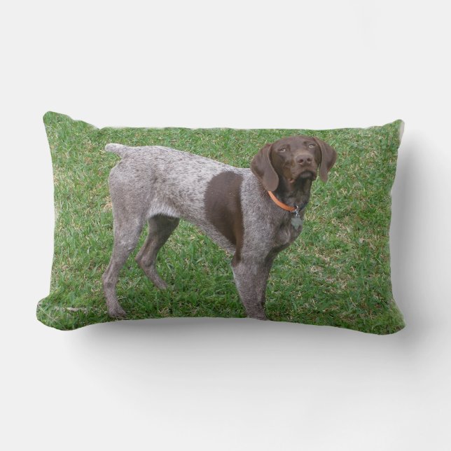 ongedefinieerd kussen (Voorkant)