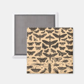 ongedefinieerd magneet (Voorkant / Achterkant)