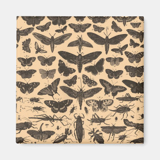 ongedefinieerd magneet