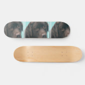 ongedefinieerd skateboard (Horizontaal)