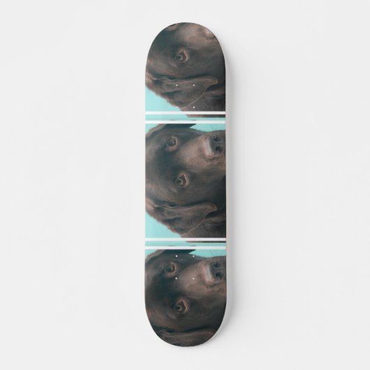 ongedefinieerd skateboard (Voorkant)