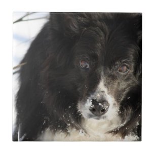 ongedefinieerd tegeltje