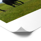 ongeduld poster (Hoek)