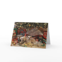 Ongehoorzame en aardige jongen