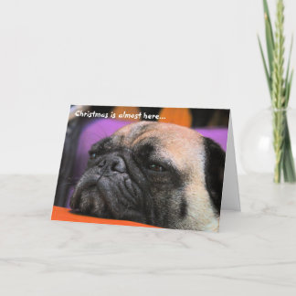 Ongehoorzame Pug Kerstkaart Feestdagen Kaart