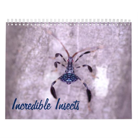Ongelooflijk Insectiesalender Kalender (Hoes)