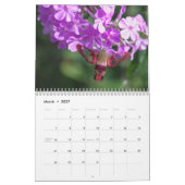 Ongelooflijk Insectiesalender Kalender (Mar 2027)