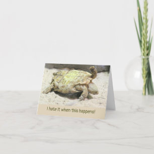 ONGELUK HUMOR/SCHILDPAD OP ZIJN RUG GEDRAAID KAART