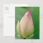 Ongeopende waterLily Bulb, Durban Botanical Briefkaart (Voorkant / Achterkant)
