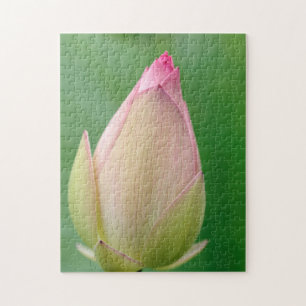 Ongeopende waterLily Bulb, Durban Botanical Legpuzzel