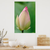 Ongeopende waterLily Bulb, Durban Botanical Poster (Keuken)