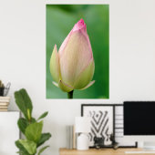 Ongeopende waterLily Bulb, Durban Botanical Poster (Thuiskantoor)
