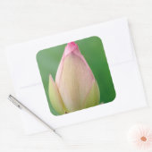 Ongeopende waterLily Bulb, Durban Botanical Vierkante Sticker (Envelop)