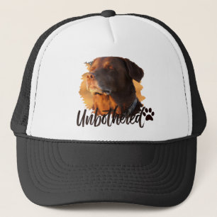 Ongeruste Gouden Uur Hond – Premium Minimalist  Trucker Pet