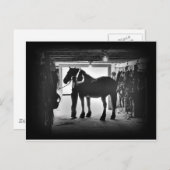 ongerustheid briefkaart (Voorkant / Achterkant)