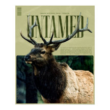 Ongetemde Banff National Park Elk Poster