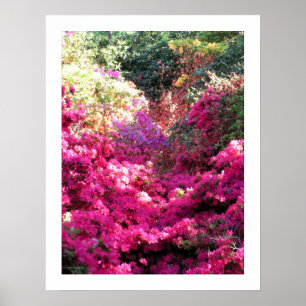 ONGETITELD Rhododendron Floral Photography Poster