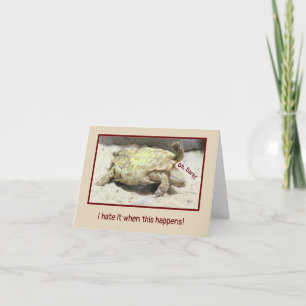 ONGEVAL HUMOR / SCHILDPAD DRAAIDE GEKANTELD OP ZIJ KAART