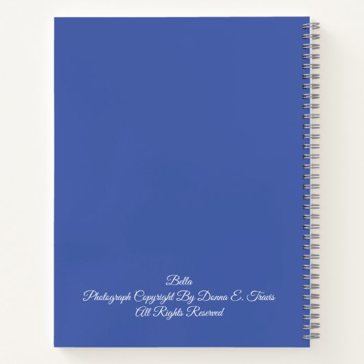 Ongevoerd Spiral Journal-Cat-Hoesje Notitieboek (Achterkant)