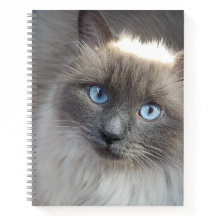 Ongevoerd Spiral Journal-Cat-Hoesje